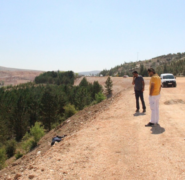 Pikniğe Giden Aile Vahşetle Karşılaştı