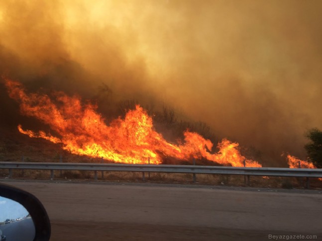 itfaiyeciler - İzmir Güzelbahçe'de orman yangını!