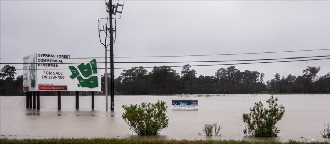 ABD'deki Harvey Kasırgası