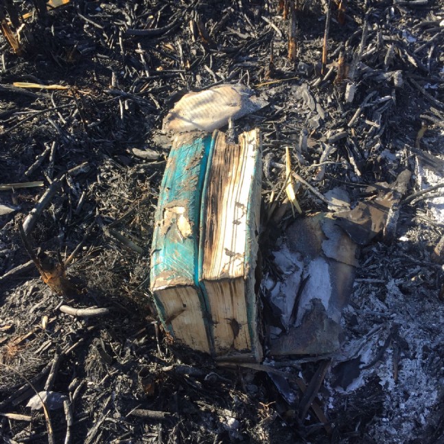 FETÖ'cüler Doğal Yaşam Alanını Yaktı