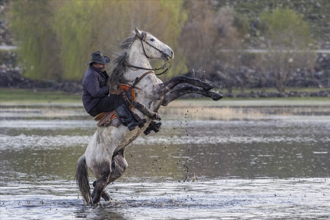 Yılkı Atları Fotoğrafçıların Gözdesi Oldu