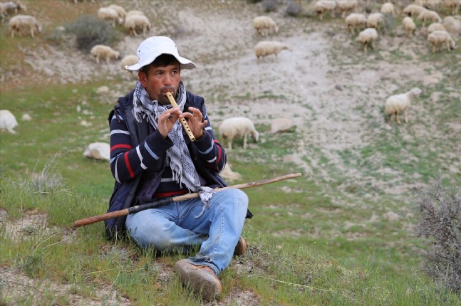 Kapadokya Vadilerinin Çobanı: Afgan Ali