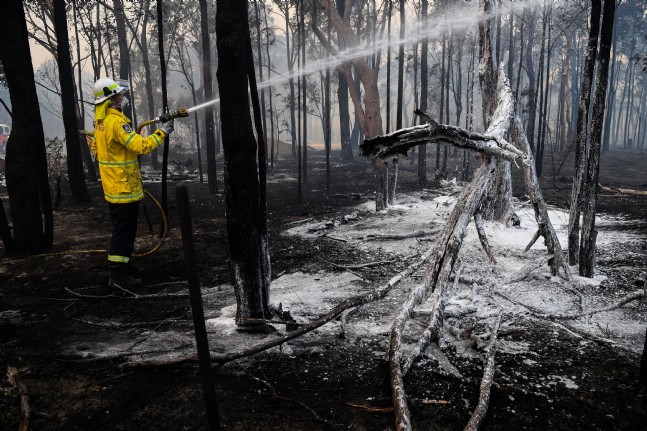 Avustralya'daki Orman Yangını Büyüyor