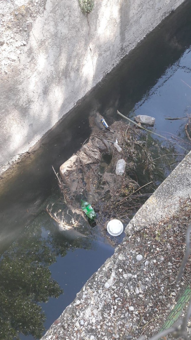 Sulama Kanalında Bir Kolu Kesilmiş Kadın Cesedi Bulundu