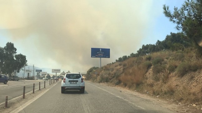 Bodrum'da Korkutan Yangın