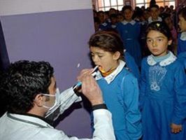 Ağrı ve Mardin'de domuz grip vakası