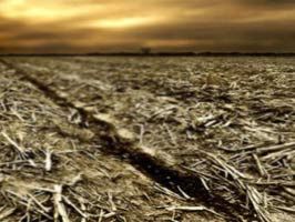 Suriye toprakları geri verecek