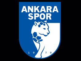 RUHI KURNAZ - Ankaraspor için karar verildi