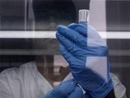 Domuz gribinde sevindiren gelişme