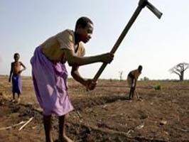 MADAGASKAR - Gıda sömürgeciliğinin açlık krizine etkisi