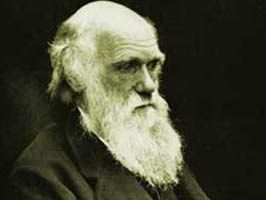 CHARLES DARWİN - Darwin'in kitabı rekor fiyata satıldı