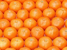 SELAM FEYYAD - Filistin'in hediyesi 4 kasa mandalina