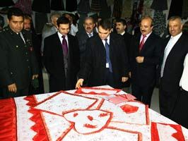 METIN ESEN - Muradiye'de sergi açılışı