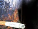Bir sigara izmariti 200 hektarı kül etti