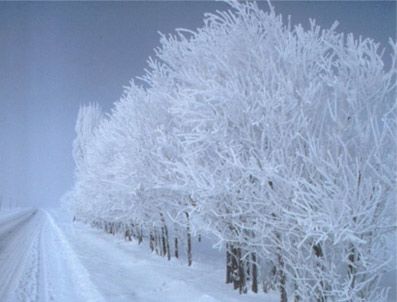 LYON - Karakışın sebebi alçak basınç