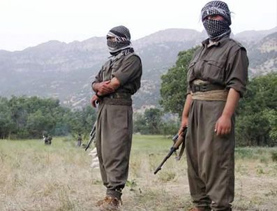 PKK'lıların dağa çıkma nedenleri buymuş