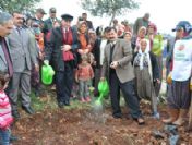 Mezitli'de 5 bin adet nergis soğanı dikildi