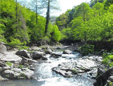 DOĞAL HAYATı KORUMA VAKFı - TEMA uyardı