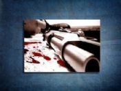 İzinsiz ağaç kesen iki kardeş öldürüldü