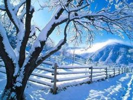 AHMET ALTUNBAŞ - Kar yağışı nedeniyle eğitime ara verildi