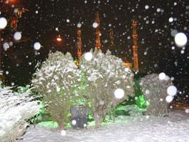 Edirne'de kar
