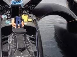 BALINA - Balina avcıları çevrecilere acımıyor