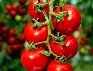 Domates altın ile yarışıyor