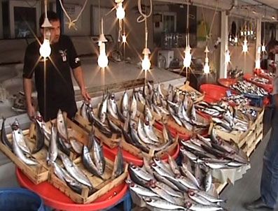 Palamut ve Hamsi akın ediyor