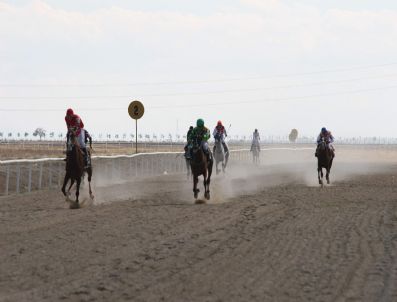 Konya'da Mahalli At Yarışlarında Arbede
