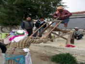 Turistler Keçi Sağdı, Hamur Açtı, Göbek Attı