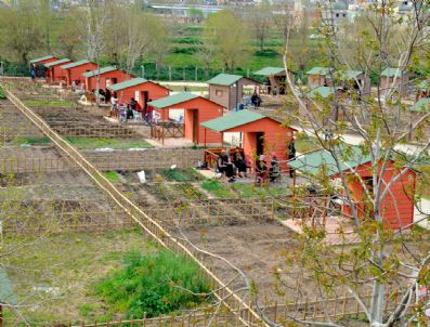 2. Hobi Bahçeleri Emeklilerin Hizmetine Giriyor