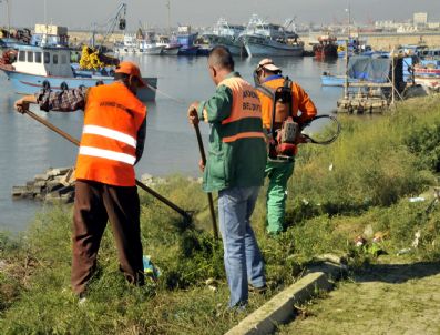 Akdeniz'de Temizlik Atağı