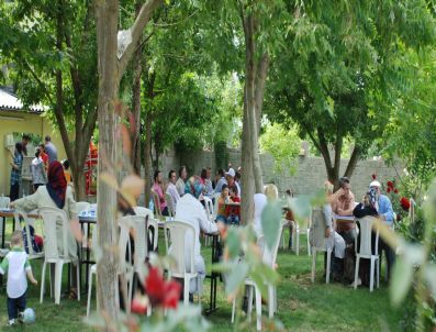 RECEP YALÇıN - Çitgöl Kaplıcalarında Sonbahar Bereketi