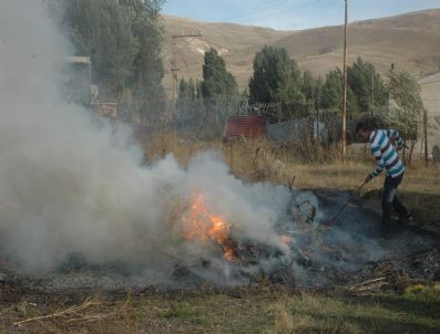 Erzurum'da 2 Milyon 500 Bin Kök Hint Keneviri İmha Edildi