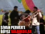 Şivan Perver'e neden saldırdılar ?