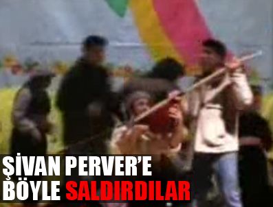 NEVROZ - Şivan Perver'e neden saldırdılar ?