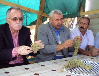 SADIK YAKUT - Tbmm Başkan Vekili Sadık Yakut Kermelikte İncelemelerde Bulundu