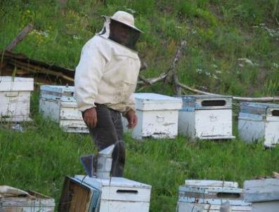 CENGIZ ERDEM - Çüngüş Kaymakamlığı'nın Arıcılık Projesi Kabul Edildi