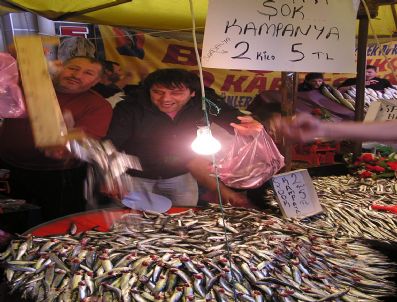 Ege'de Sardalya Bereketi