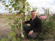 Gediz'de Organik Dev Kabak