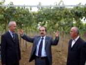 Vali Coş; Dağ Taş Köyleri Geziyor