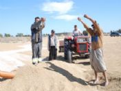 Silifke'de Çeltik Rekoltesi 5 Bin 825 Ton