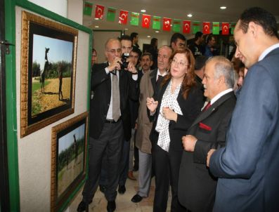 MEHMET ÇIÇEK - Türkmen Bilgini Mahtumkulu'nun Büstü Törenle Açıldı