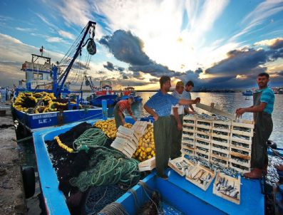YEŞILOVACıK - Balıkçılığın Ekosisteme Etkisi Tam Olarak Bilinmiyor