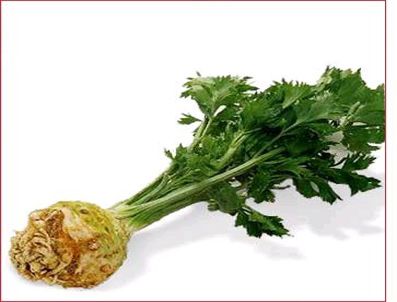 İLLINOIS - Kereviz hafızayı güçlendiriyor