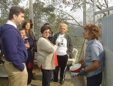 HAYVAN HAKLARı FEDERASYONU - Başkan Aysan Hayvan Barınağında İnceleme Yaptı