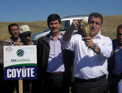 MUZAFFER TEKIN - Sarıkaya'da Pancar İçin Tarla Günü Düzenlendi