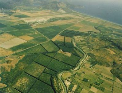 KAMU İHALE KANUNU - Dalaman Tigem Arazierini Kiraya Veriyor