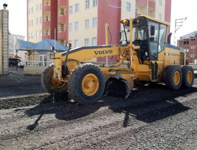 NEVZAT BOZKUŞ - Kars Belediye Asfaltlama Çalışmaları Başlattı