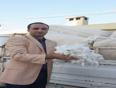 Pamukta Rekor Yılı